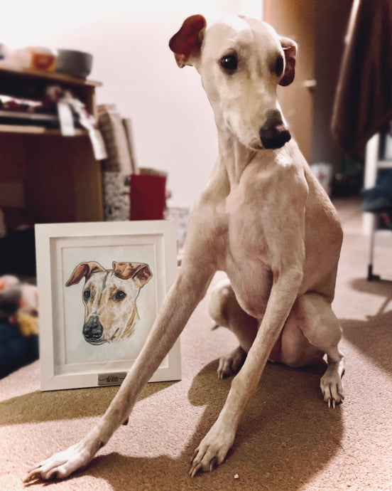 Elf